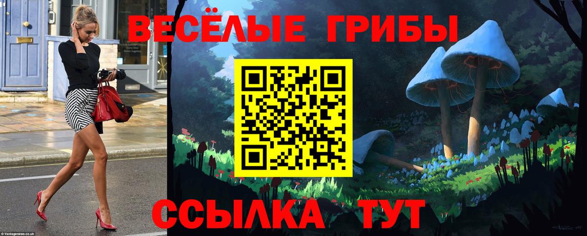 Псилоцибиновые грибы Magic Shrooms  Вход с VPN  магазин  наркотиков  Галлюциногенные грибы Magic Shrooms  Сургут 